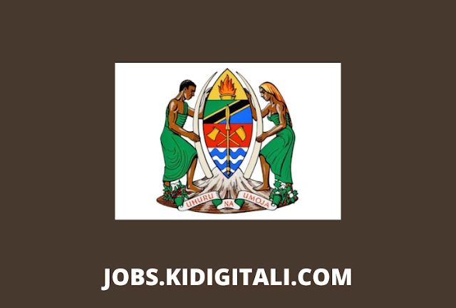 Job Opportunity at Dar es Salaam City Council.