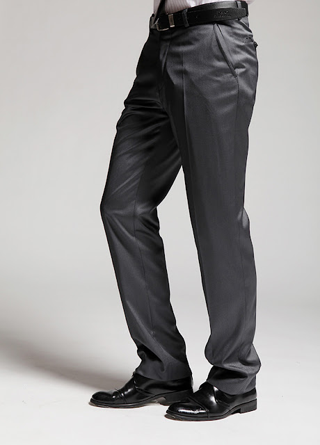 dress pants,pants