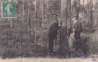 landes autrefois chasse palombes