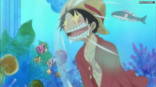 ワンピースアニメ 魚人島編 531話 ルフィ かわいい Monkey D. Luffy | ONE PIECE Episode 531