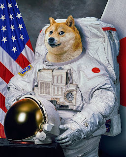 Why You should NOT BUY DOGECOIN? Why is Elon Musk related to it?