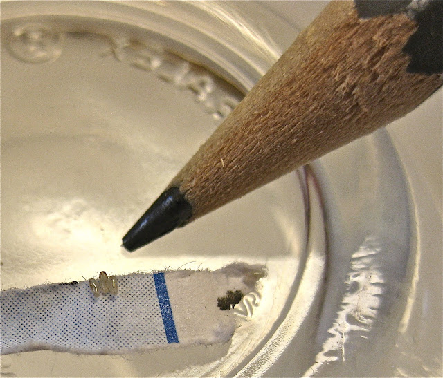 Close up of 3 eggs laid on a shred of paper. The tip of the pencil is ...