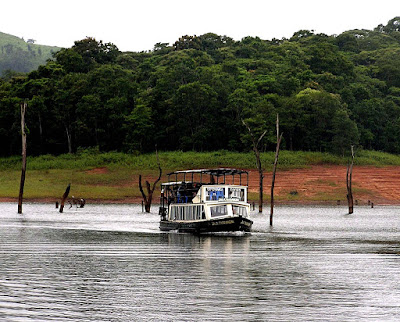 Thekkady - Kerala