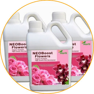 Horti NEOBoost Flowers The content is organic, the soil remains fertile, anyway! NEOBoost Flowers Fertilizer is included in the category of organic fertilizer which is effective in improving soil quality. The amino acids, nutrients, and vitamins contained in it are able to fertilize the soil optimally. It is perfect for those of you who want to provide special care for roses and orchids! The content of natural ingredients in it also functions to make plants more resistant to pests and diseases. In addition, this fertilizer is able to stimulate and accelerate flower growth as well as prevent it from falling off easily. If you like plants and still want to maintain soil fertility, NEOBoost Flowers can be an option.