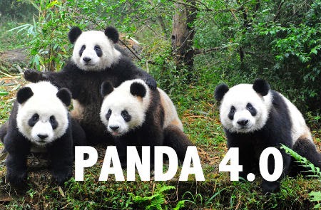 Google Panda 4.0 update