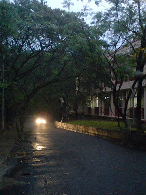 Silver Oak Marg, Indian Institute of Science, Bangalore IISc