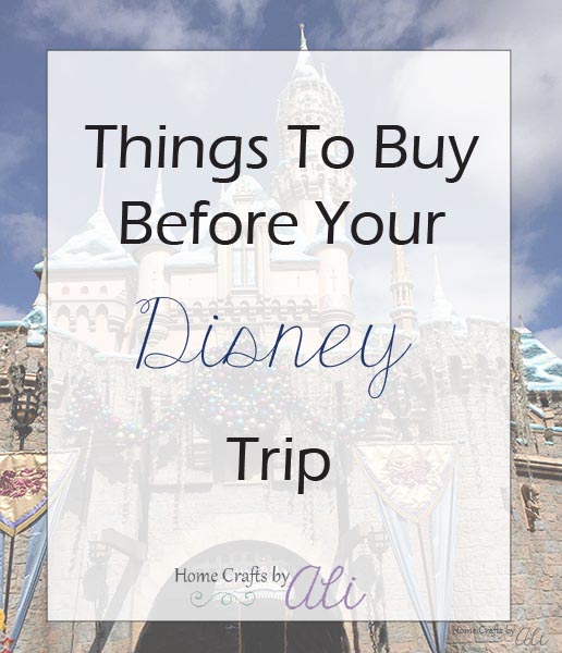 items to buy before heading to Disneyland or Disney World