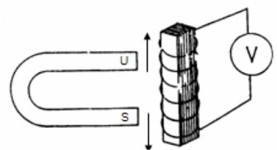 The magnetic induction