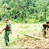 Babinsa Koramil 02 Muara Siberut Serka Robin Sianturi monitoring pembangunan tower mini di Dusun Sarokdok Desa Madobag Kec Siberut Selatan 