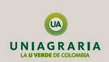 Mi foto