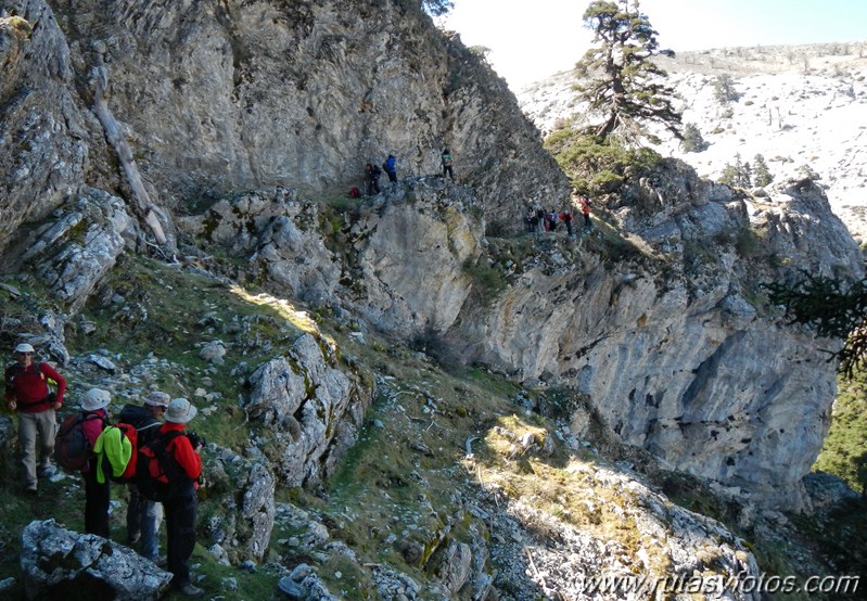 IX Travesía Sierra de las Nieves