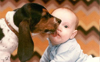 Funny Dog And Baby Kissing