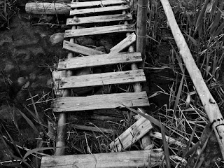 Broken wooden bridge