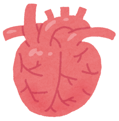 心臓のイラスト 人体 かわいいフリー素材集 いらすとや