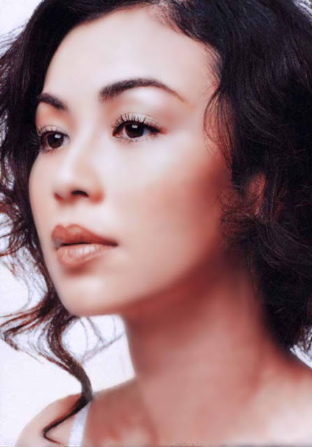 Malaysian Celebrity Actress and Model Irene Santiago Casiano - Asia Top 10 Mixed Beauty