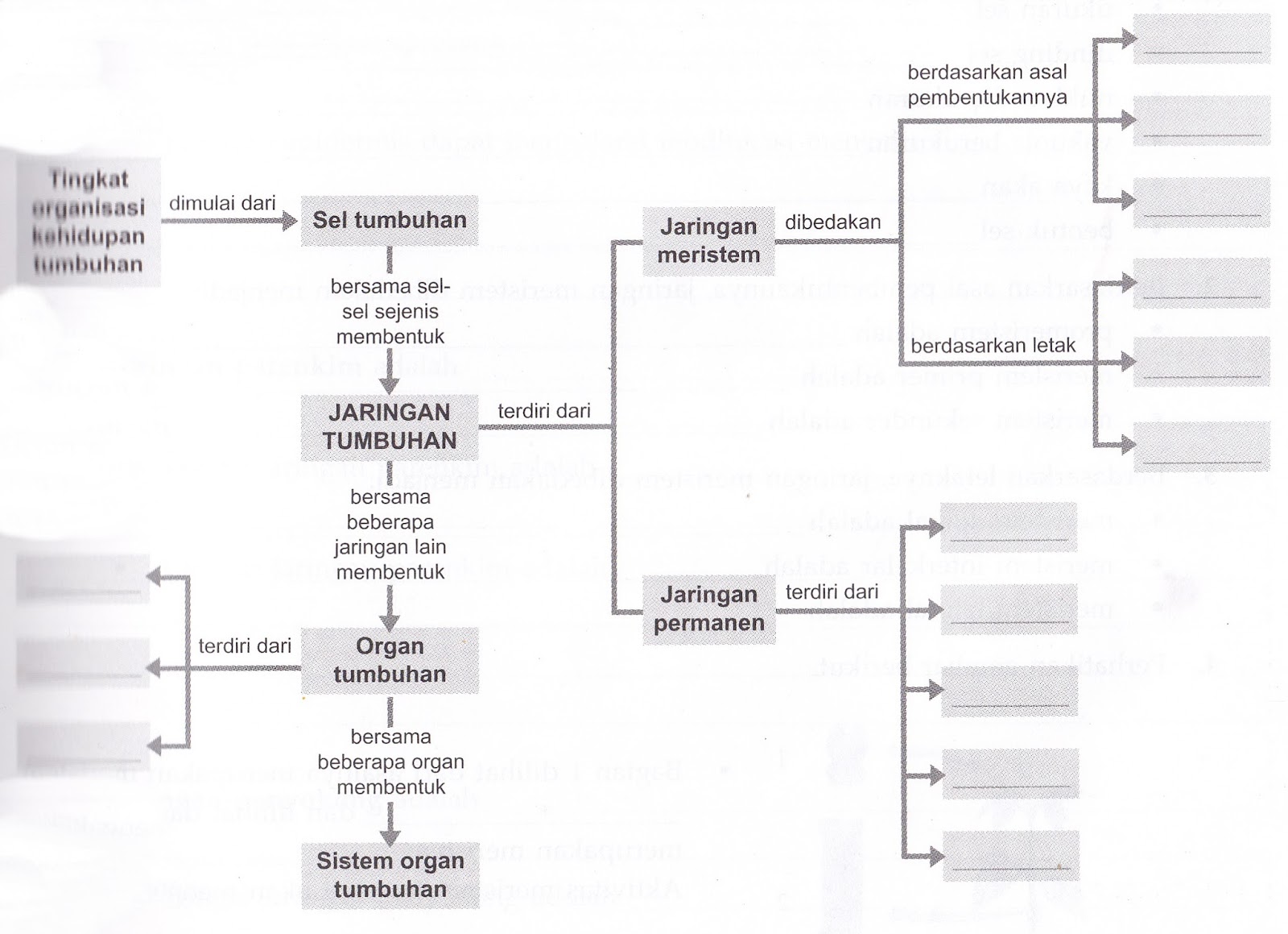 REMARKABLE OF BIOLOGY Peta Konsep Sel Struktur  dan  