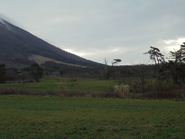 冬の大山まきばみるくの里