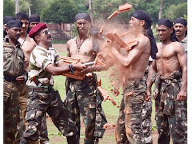 Grandmaster Shifuji Shaurya Bharadwaj