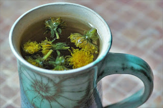 Dandelion Tea can be beneficial for your health