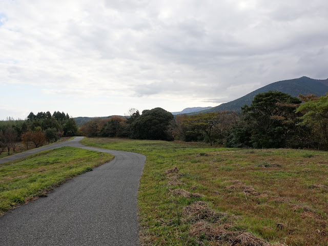 遺構展示館の裏の遊歩道