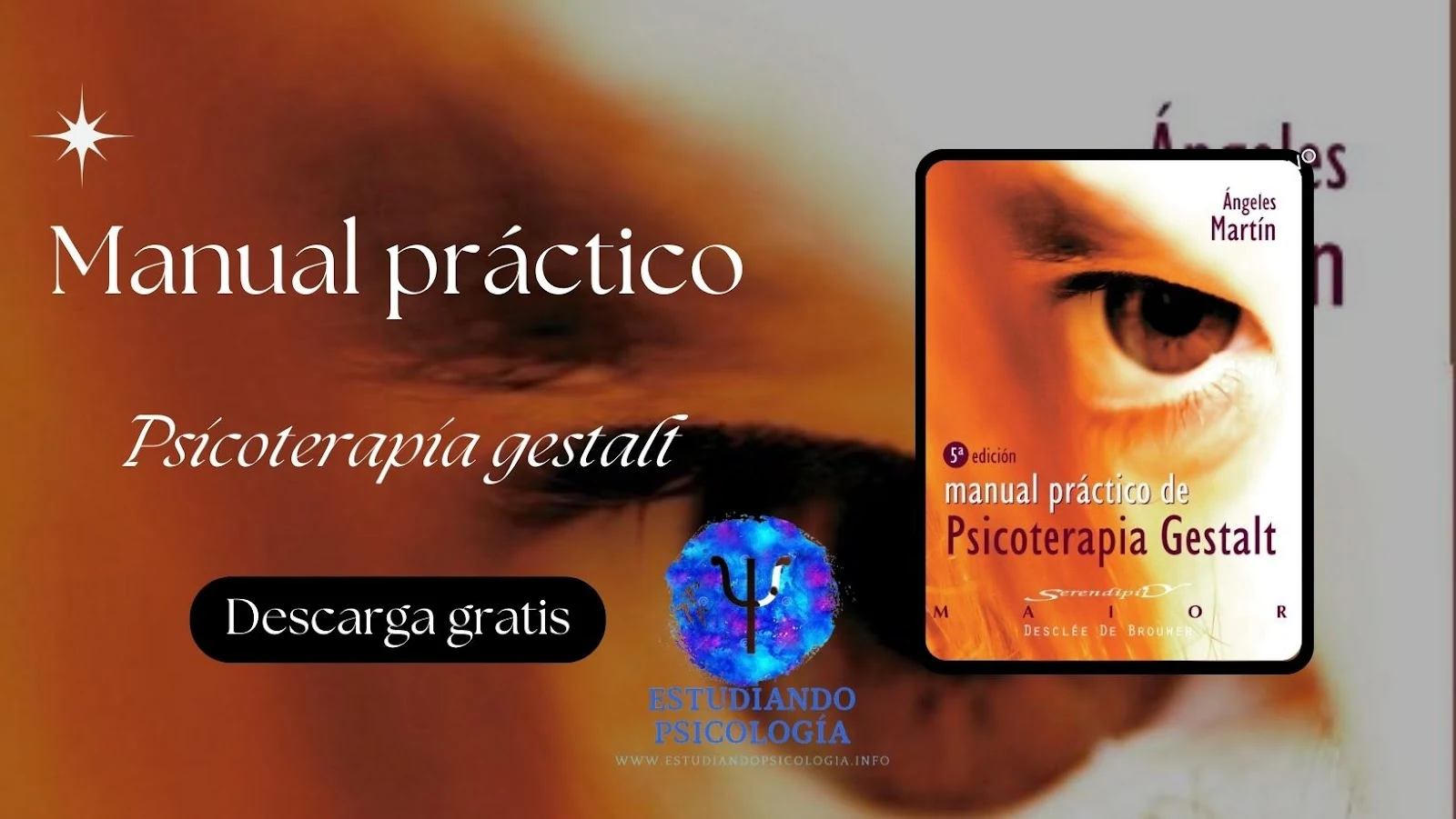 Manual práctico de psicoterapia Gestalt. (Libro)