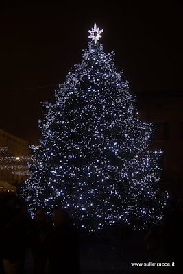 albero di natale illuminato in piazza a ferrara