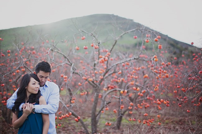 persimmon_engagement