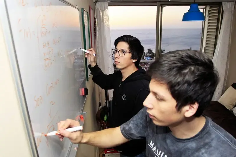 Gemelos fueron puntajes nacionales de Matemática: así armaron su plan de estudio