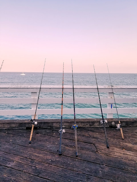 Photo by Gen Dalton on Unsplash sea fishing rods on pier