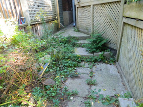 High Park Toronto Back Yard Fall Cleanup Before by Paul Jung Gardening Services--a Toronto Gardening Company