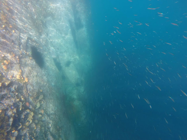 Snorkel en Kicker Rock o León dormido, Islas Galápagos