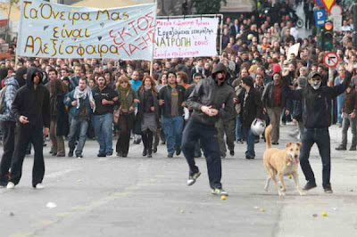 The Return of the Riot Dog Seen On www.coolpicturegallery.us