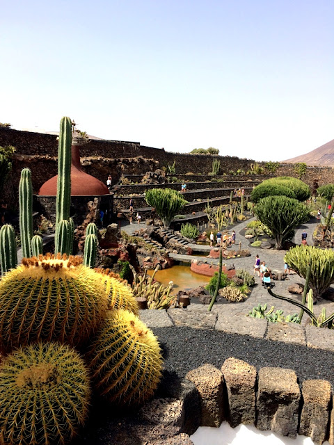 Lanzarote - co robić na wyspie? Jardin de Cactus - ile kosztuje bilet? Jak dojechać do Ogrodu Kaktusów na Lanzarote? Lanzarote na Wyspach Kanaryjskich - czy warto jechać, co zwiedzić? Kaktus burger na Lanzarote - czy warto zjeść?