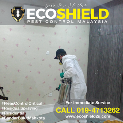 Pest Control Selangor Pest Control Malaysia