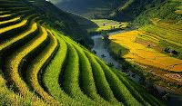 GAMBAR PEMANDANGAN SAWAH DAN PEGUNUNGAN TERINDAH