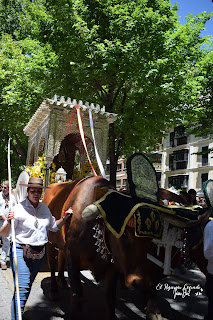 SALIDA DE LA HERMANDAD DEL ROCÍO DE GRANADA