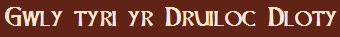 Gwly tyri yr Druiloc Dloty