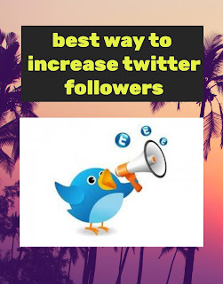 best way to increase twitter followers