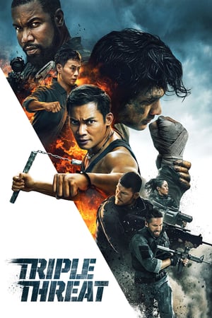 Download Triple Threat (2019) Bluray 720p
