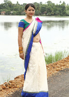 swetha basu sexy gallery in saree