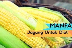 6 Manfaat Jagung Untuk Diet