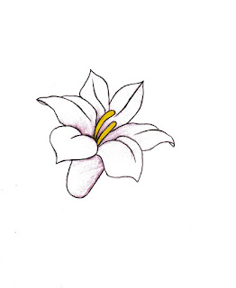 Flower Images For Drawing