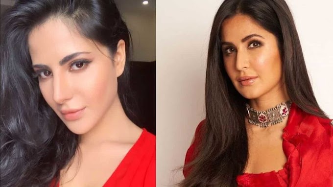 Tik Tok Bollywood celebrities duplicate lookalike