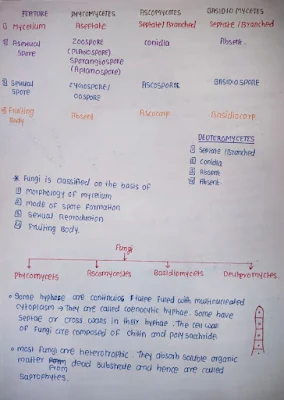 Biological Classification Notes