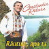 Constantin Rotaru - Răutule, apa ta (2000)