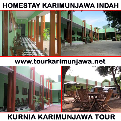 homestay karimun indah AC