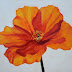 Mexican Poppy, Contemporary Floral Still Life Paintings by Arizona Artist Amy Whitehouse