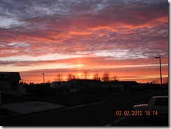 DSCN0386