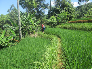 Curug Kanteh Desa Cikatomas