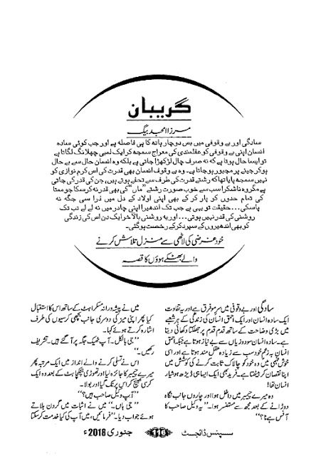 Gareban novel by Mirza Amjad Baig